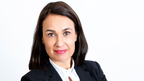 Susanne Larsson image